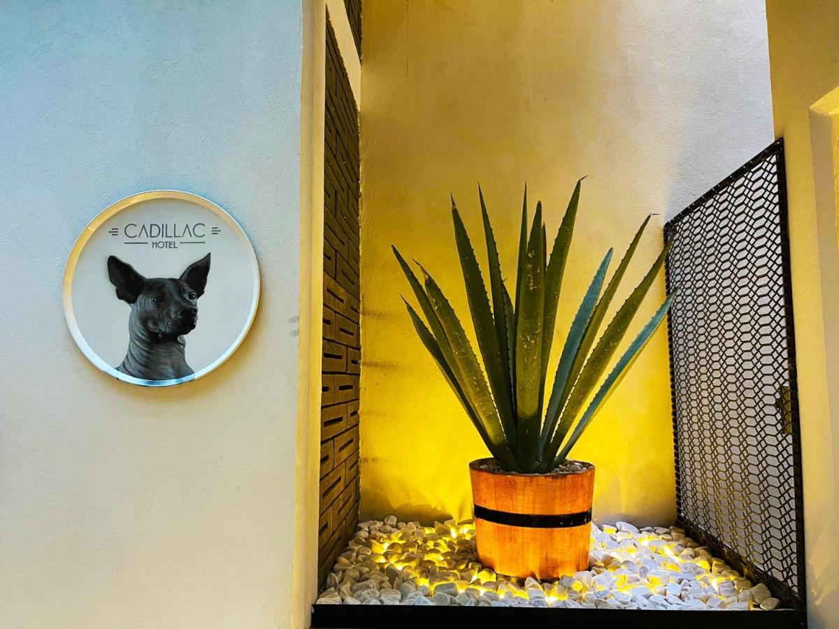 Cadillac Cocoon Beds Mexico City Exterior photo
